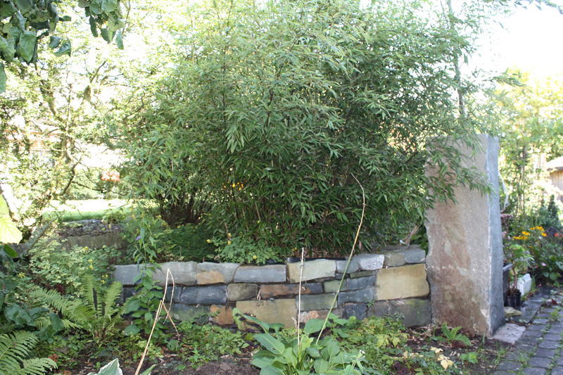 Gartenimpression 1