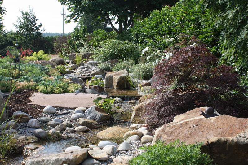 Gartenimpression 15