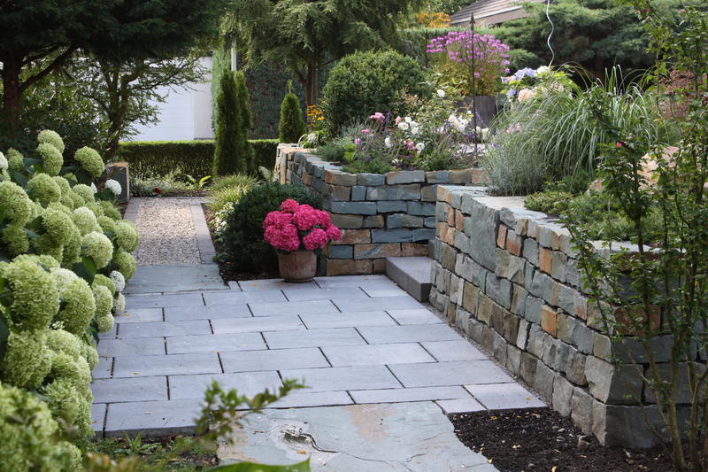 Gartenimpression 1